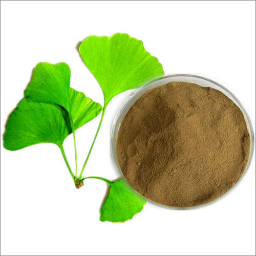 Herbal Product Ginkgo Biloba Extract