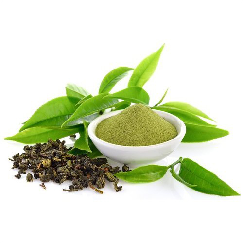 Herbal Product Green Tea Extract