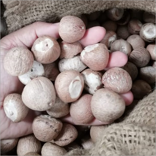 Whole Betel Nut