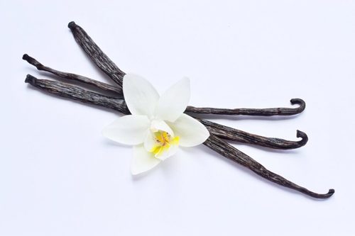 IFF Vanilla Essence No 1