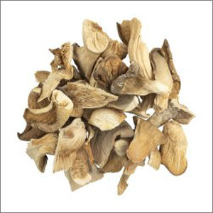 Dried Oyster Mushroom