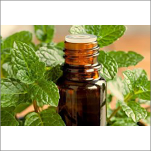Pure Mentha Oil Purity(%): 99%
