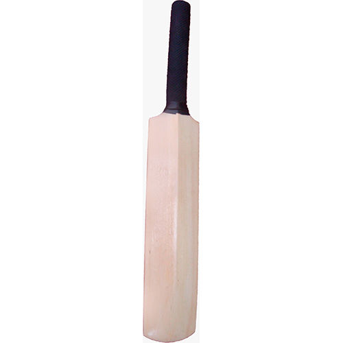 Cricket Mini Signature Bat