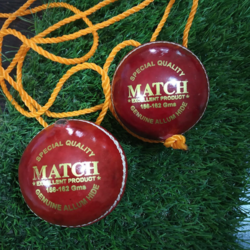 Cricket Practice Hanging Ball