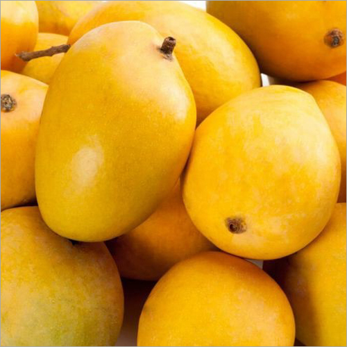 Yellow Fresh Mango