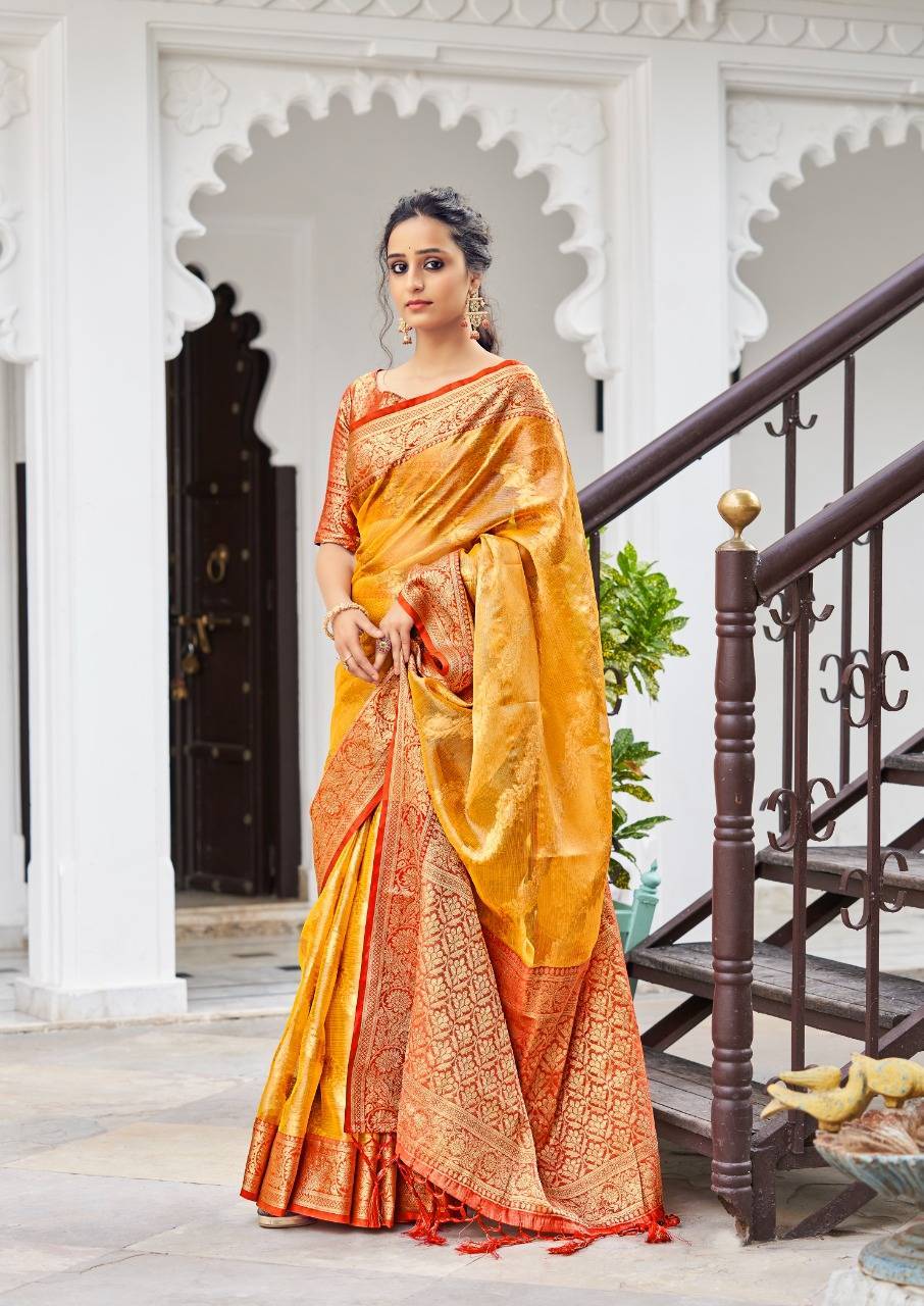Aspen Soft Tissue Silk Designer Silk Saree Catalogue Set