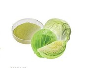 Cabbage powder