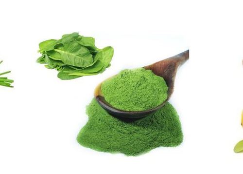 Spinach Powder By GRIFFITH OVERSEAS PVT. LTD.