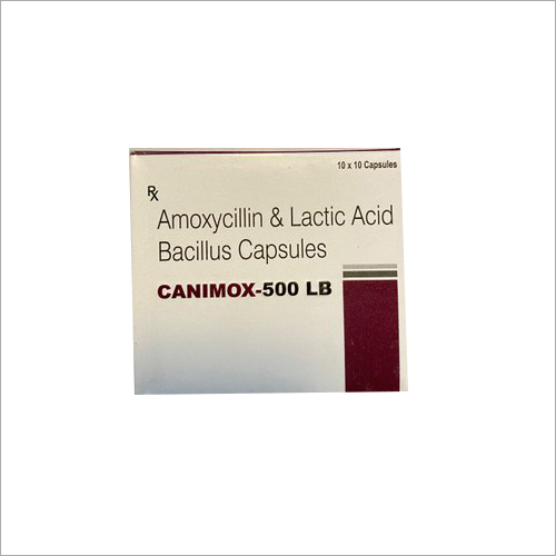 Amoxicillin And Lactic Acid Bascillus Capsule By SIPMAX PHARMA