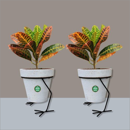 Indoor Flower Pot Stand By MAA RAJDEVI STEEL & FABRICATION WORKS