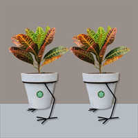 Indoor Flower Pot Stand
