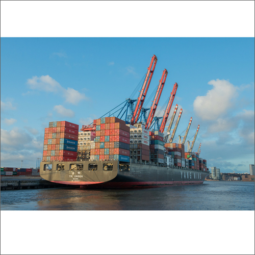 Sea Freight forwding Shipping Service
