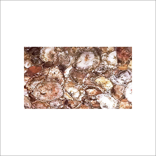 Brown Petrified Wood Lit Granite Slabs