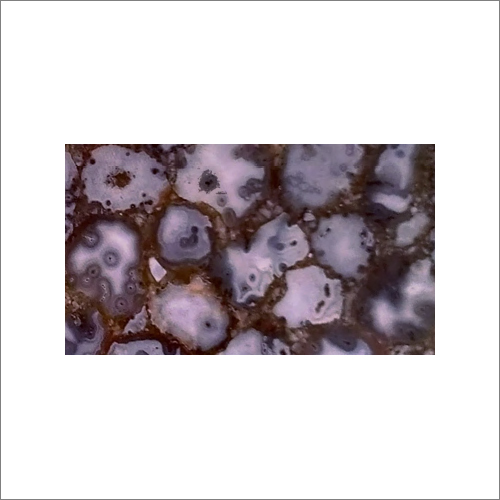 Dendrite Agate Granite Slabs