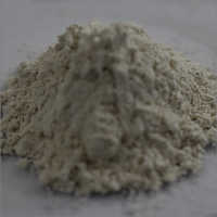 Ferric Pyrophosphate Insoluble