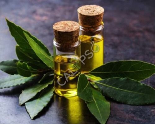 Bay Leaf Oils