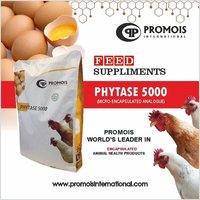 Thermostable Phytase - Powder Form, 99% Protein, White Color | Improves Phosphorus Utilization, Enhances Feed Efficiency, Disease Prevention