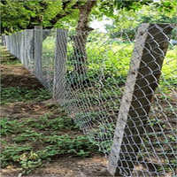 Outdoor Chain Link Fencing