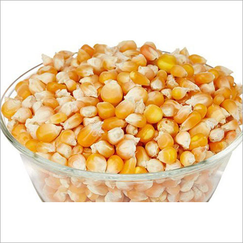 Natural Yellow Maize