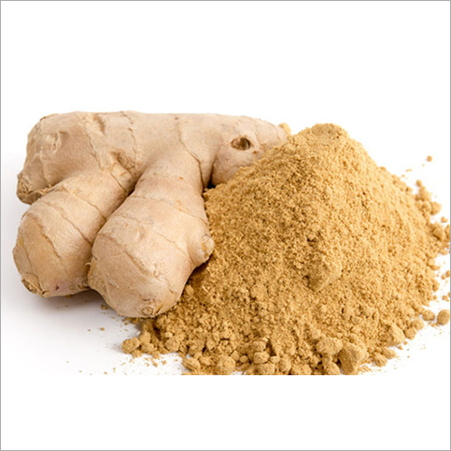 Dried Dehydrated Ginger Powder