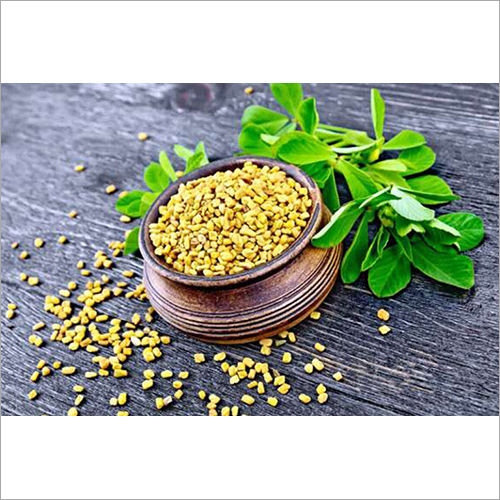 Fenugreek Seed