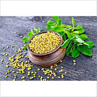 Fenugreek Seed