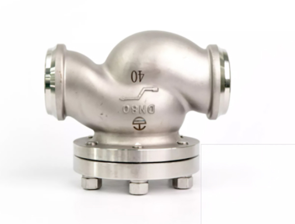 Cryogenic Check Valve Dh 80