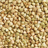 Fresh Soyabean Seeds