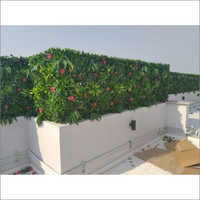 Designer Vertical Garden