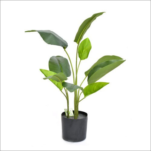 Eco-Friendly Indoor Artificial Plant at Best Price in New Delhi ...