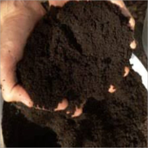 Agriculture  Pure Vermicompost