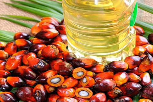 CP6 Refined Palm Cooking Oil