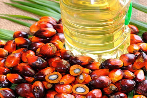 RBD Palm Oil By WEST SIDE TRADE LLC