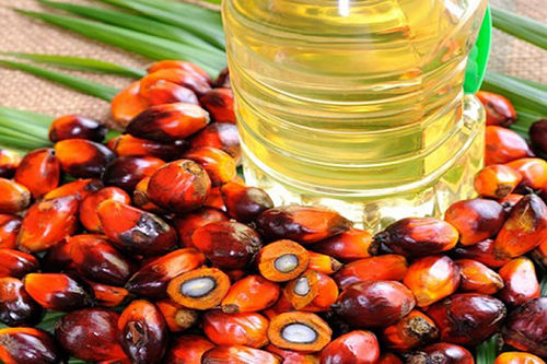 RBD Palm Oil