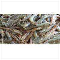 Vannamei Prawn