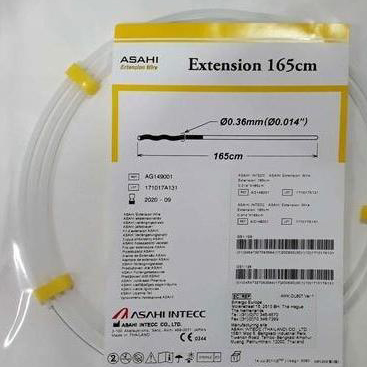 PTCA Guide Wire Extension