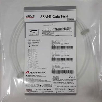 PTCA Guide Wire Gaia First - Second- Third
