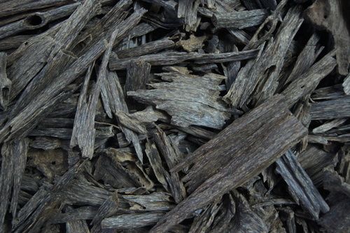 Agarwood Chips