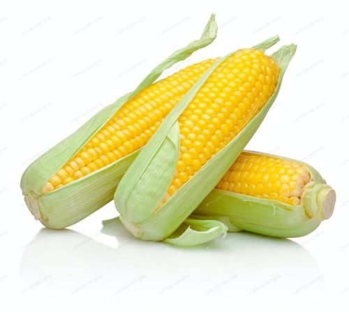 Yellow Corn