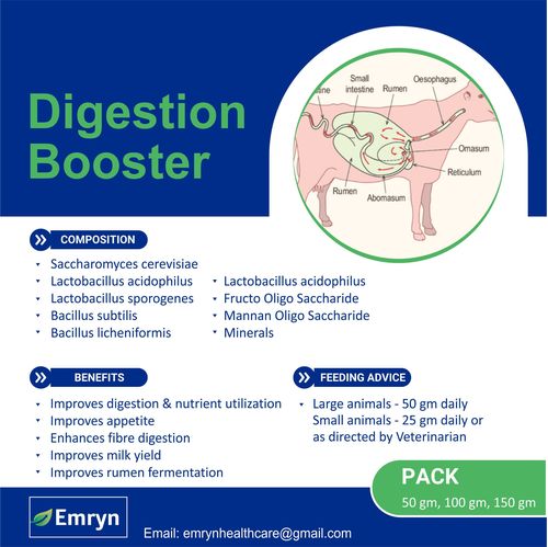 Digestion Booster Powder