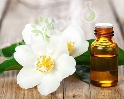 Neroli Absolute Oil