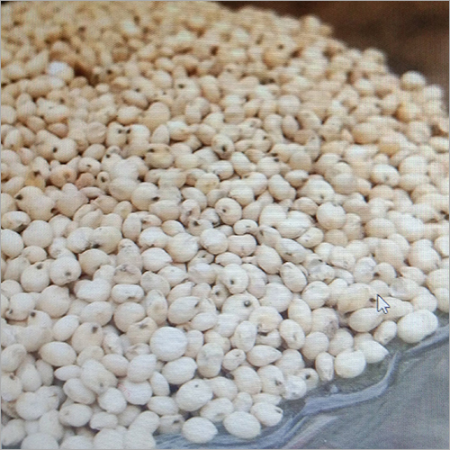 Sorghum Millet