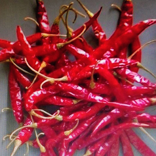 Red Chilli