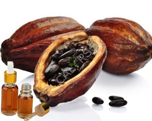 Cocoa Absolute Oil