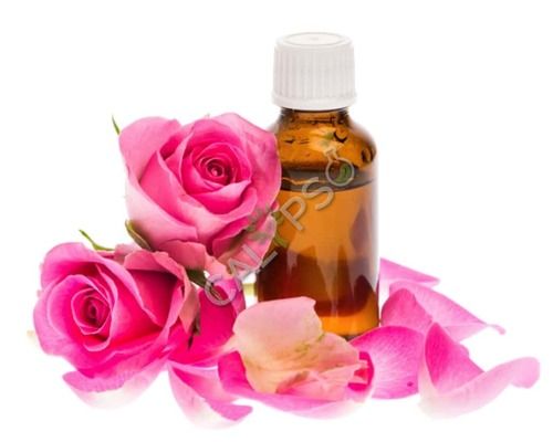 Rose Absolute Oil Age Group: All Age Group