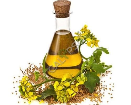 Caraway Seed Oil Age Group: All Age Group