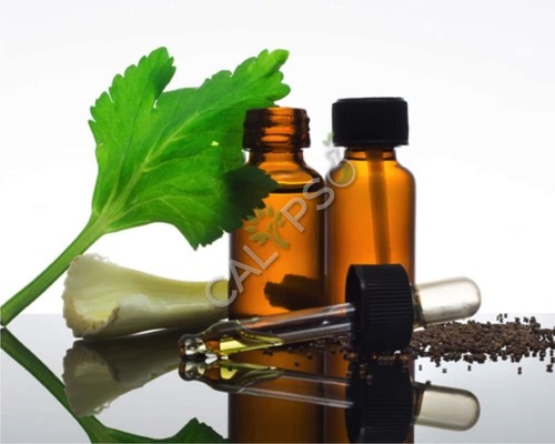 Celery Oil
