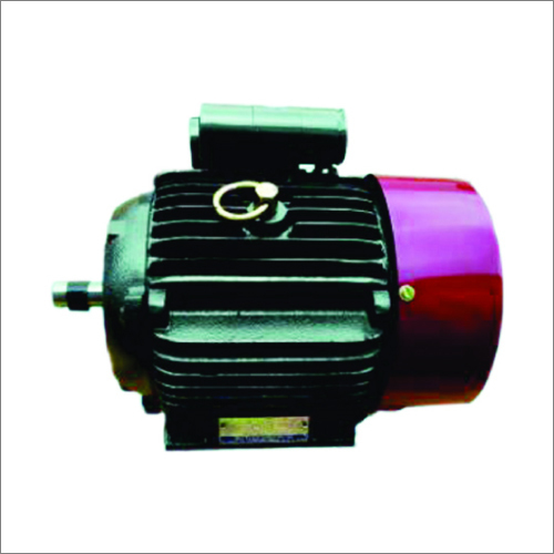 Commercial Induction Motor
