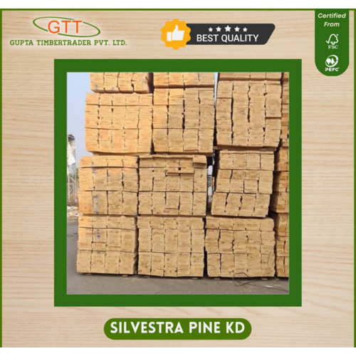 Silvestra Pine Kd