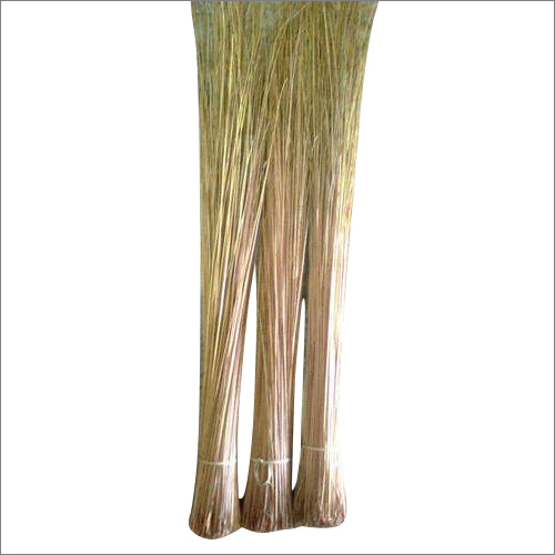 Coconut Hard Broom
